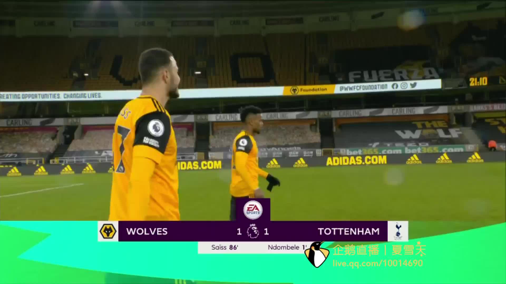 定似乎早已 定似乎早已